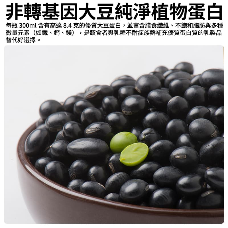 【永和】黑豆漿 300ml