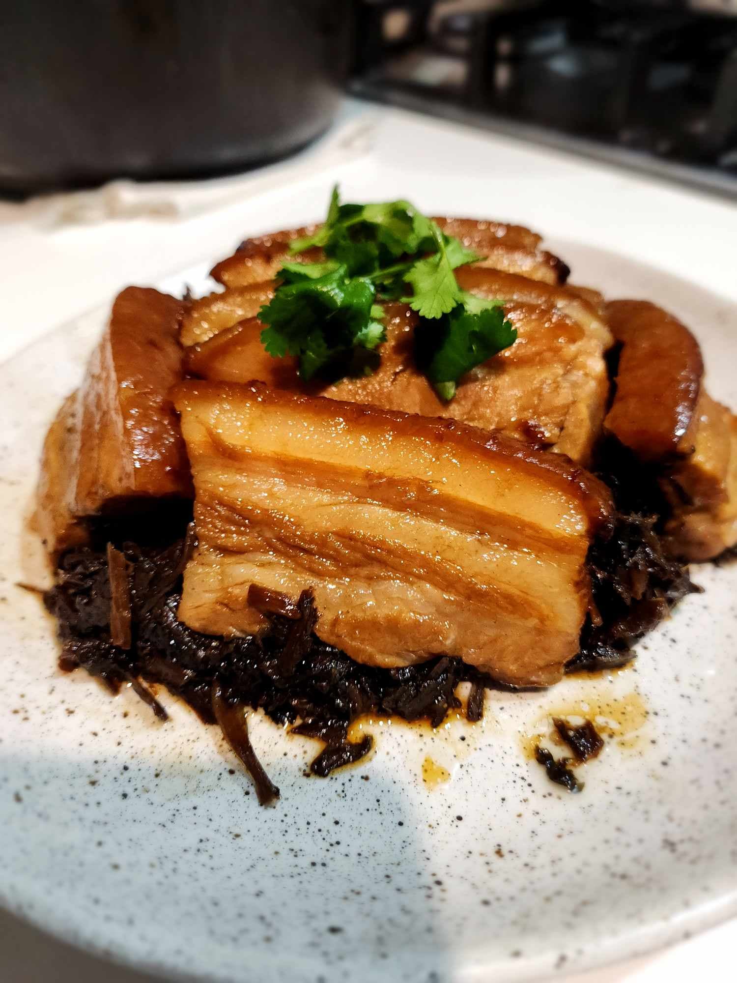 【艾爾莎廚房】梅乾扣肉