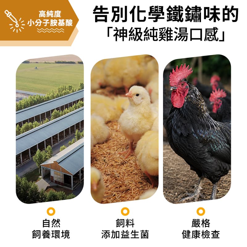 【農純鄉】滴雞精 8入