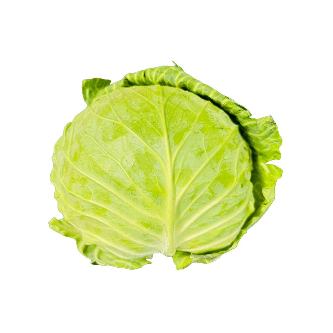高麗菜(昆士蘭種植)